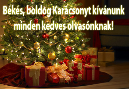 Vi ønsker dig en fredelig, god jul til alle vores kære læsere!