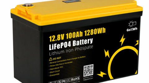 [EU Direct] Gokwh 12.8V 100AH LiFePO Lithium Battery 1280Wh Energy Storage Box Battery Series LCD Capacity Display Built-in BMS